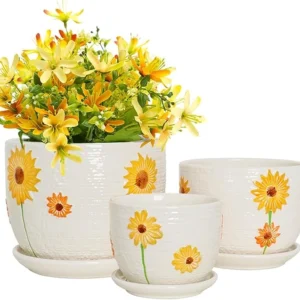 Hlukana Ceramic Plant Pots Set of 3 with Drainage & Saucers