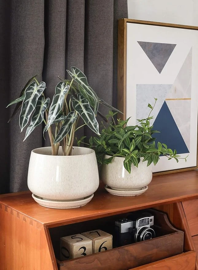 LE TAUCI Ceramic Plant Pots Set of 3 with Drainage & Saucers, Reactive Glaze Beige - Image 3