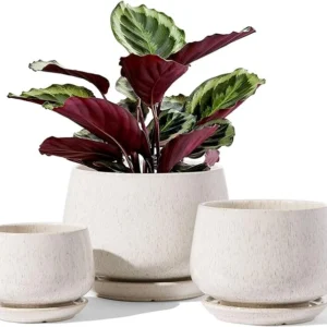 LE TAUCI Ceramic Plant Pots Set of 3 with Drainage & Saucers, Reactive Glaze Beige