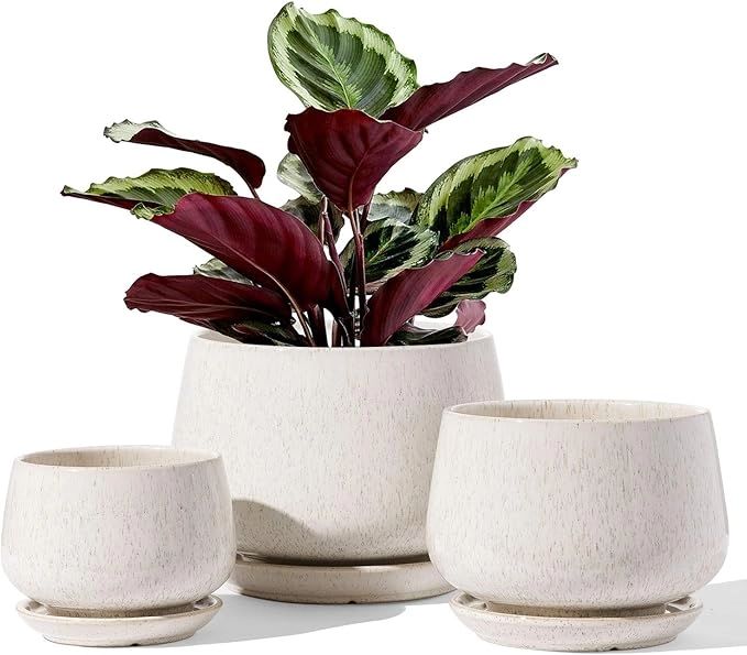 LE TAUCI Ceramic Plant Pots Set of 3 with Drainage & Saucers, Reactive Glaze Beige