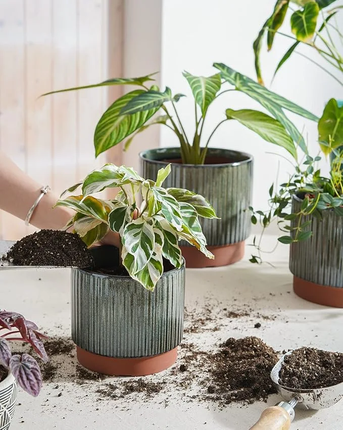 LE TAUCI Ceramic Plant Pots Set of 3 with Drainage, Reactive Glaze Black - Image 4